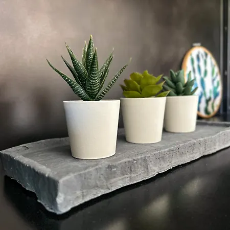 Residenz Zueschen A * ווינטרברג